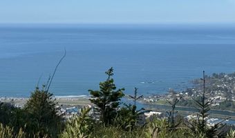 Jodel CT 3, Brookings, OR 97415