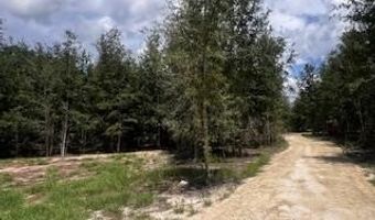 4899 36th St, Bell, FL 32619