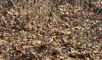 53 Beech Fork Ln, Athens, AL 35611