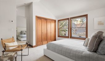 602 W Hallam St, Aspen, CO 81611