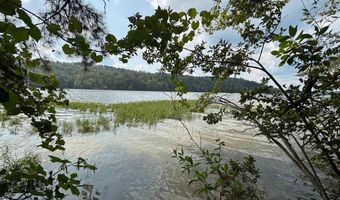 0 GIBSON COVE Dr 7.10 Acres Plus . 58 ac Access Lot, Ashville, AL 35953