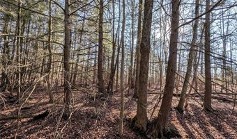 South Road, Addison, NY 14801