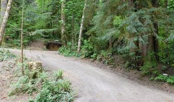 10286 RIDGE VIEW Ter, Birkenfeld, OR 97016