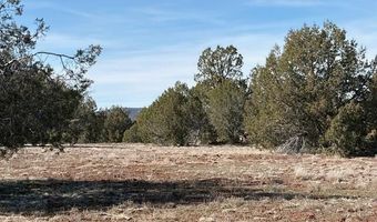 00- D N Dunbar Blvd, Ash Fork, AZ 86320