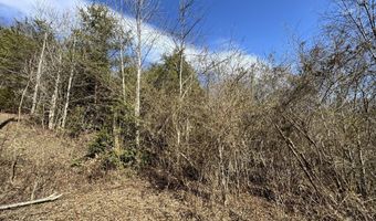 1135 Ned Clark Rd, Bean Station, TN 37708