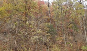 Spoon Gap Rd, Abingdon, VA 24211