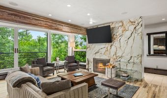 738 S Galena St 1-C, Aspen, CO 81611