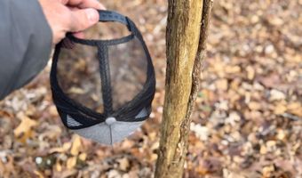 Farm Rd 1187 Lc, Ash Grove, MO 65604