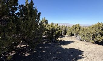 Andy's Way, Elko, NV 89801