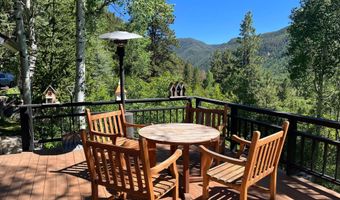44481 HIGHWAY 82, Aspen, CO 81611