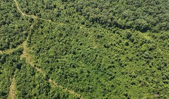 Cr 244, Abbeville, MS 38601