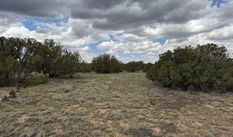 214 CR 8051, Concho, AZ 85924