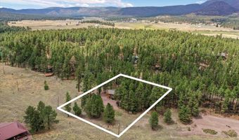 24 County Rd 2079, Alpine, AZ 85920