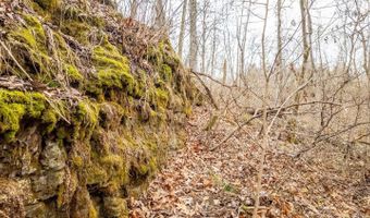 County Road 19-A, Alton, MO 65606