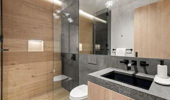 543 Walnut St B, Aspen, CO 81611