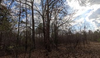 Saint John Road, Braxton, MS 39044