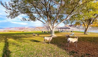 386 Nassau Way, Boulder City, NV 89005
