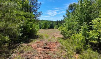 County Road 38, Autaugaville, AL 36003