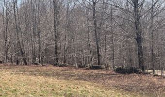 Lot 2 Doig Hollow Road, Andes, NY 13731