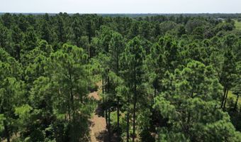 80 N4130 Rd, Antlers, OK 74523