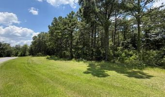 Mountain View Way, Bainbridge, GA 39819