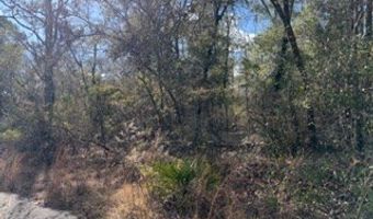 SW 22nd Pl, Bell, FL 32619