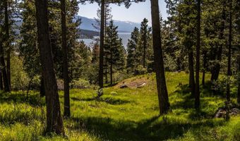 87 Rock Ridge Way, Bigfork, MT 59911