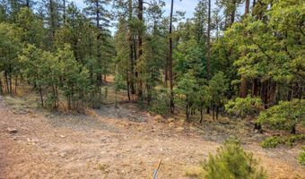 6 Co Rd 2074, Alpine, AZ 85920