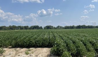 Straight Bayou Road, Anguilla, MS 38721