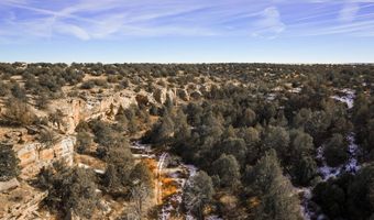 001 CR 40.2, Branson, CO 81027