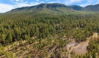 CR 2193, Alpine, AZ 85920