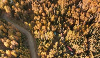 17261 N Rock Rose Ln, Chickaloon, AK 99674