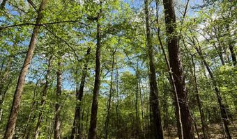 0 Evans St, Bernice, LA 71222