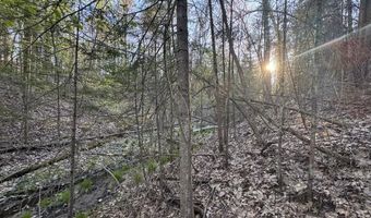V/L Wildwood Road lot 1, Alger, MI 48610