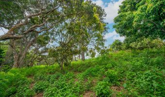 APOPO RD, Kapaa, HI 96746