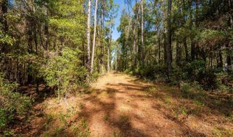 Tbd N COUNTY RD 1491, Alachua, FL 32615