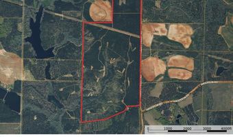 Harry Priddy Road, Americus, GA 31719