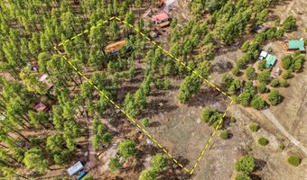 6 N CR 2148, Alpine, AZ 85920