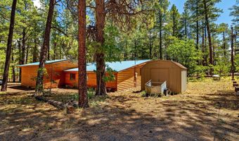 20 County Rd N2120, Alpine, AZ 85920