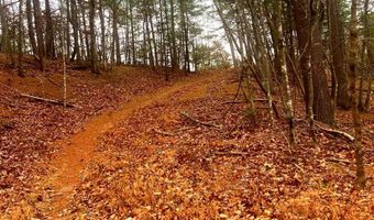 SPITZ Lane, Basye, VA 22810