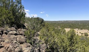 5 County Rd # 8095, Concho, AZ 85924