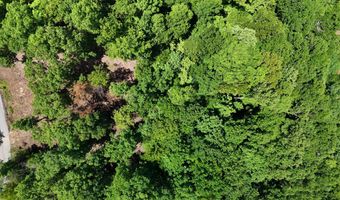 Lot 42 Bayside Boulevard, Bean Station, TN 37708