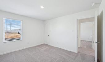 10307 Harlequin, Adkins, TX 78101