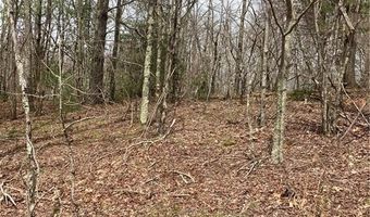 Tbd Old Mountain Road, Banner Elk, NC 28604
