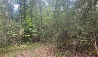 0 McDowell Rd, Bay Minette, AL 36507