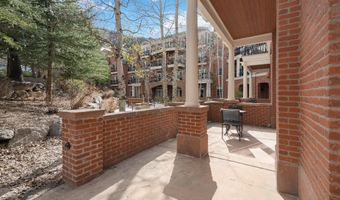 415 E Dean St. Unit 3 Week 11, Aspen, CO 81611