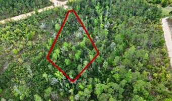 CASTLE CIRCLE, Alford, FL 32420