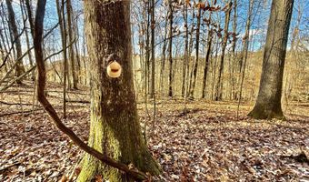 1520 Brittontown Rd, Afton, TN 37616
