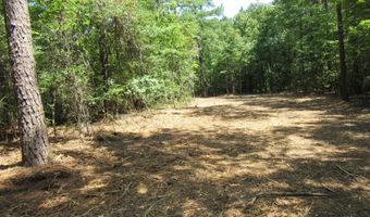 6 1 Acres Frazier Rd, Bailey, NC 27807