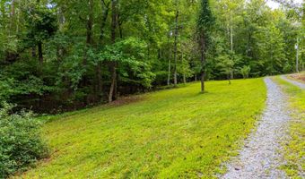 175 Tracie Dr, Altavista, VA 24517